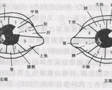 眼结膜上出现瘀点怎么办?